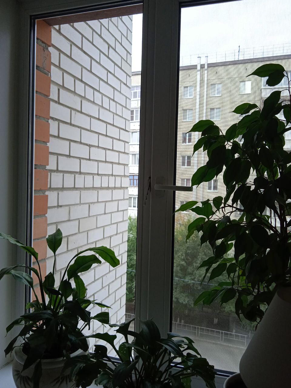 https://yakutsk.delaem-okna.ru/storage/app/uploads/public/63f/332/8c0/63f3328c0408d690824237.jpg