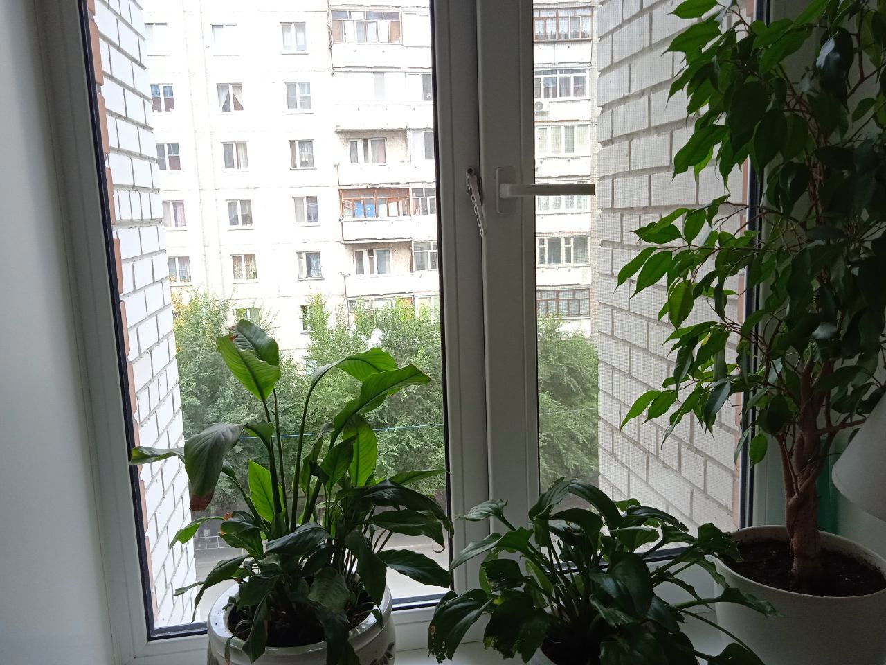 https://yakutsk.delaem-okna.ru/storage/app/uploads/public/63f/332/8c0/63f3328c0d6f7867060515.jpg